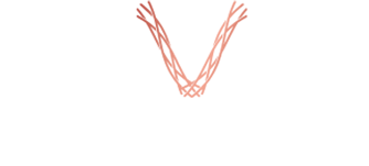 vc2-vascular-care